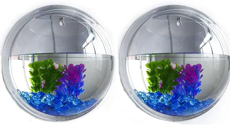 2 macetas de acrílico transparente para colgar en la pared de 5,9 pulgadas