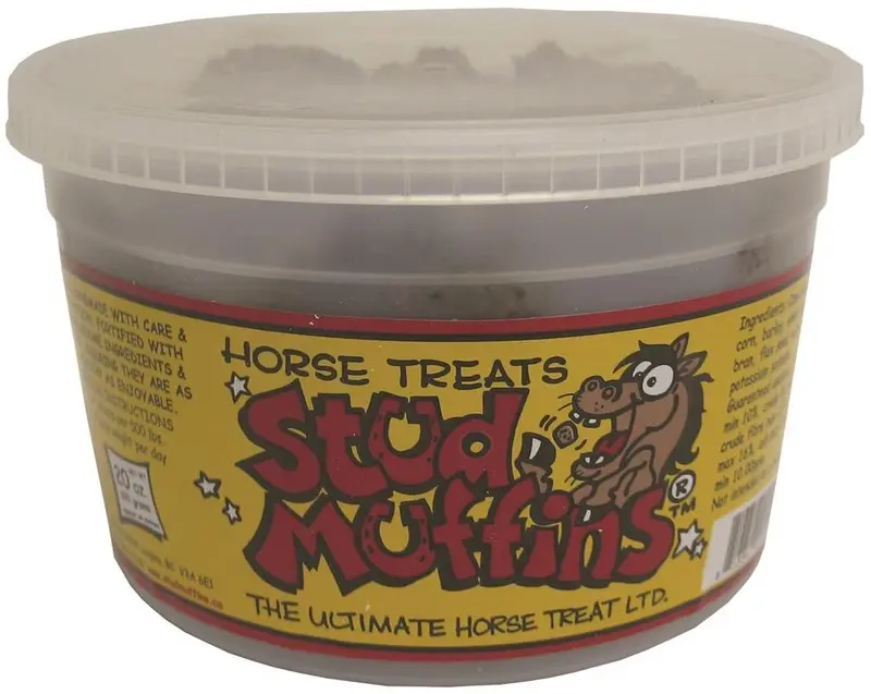 20 onza Stud Muffins tina