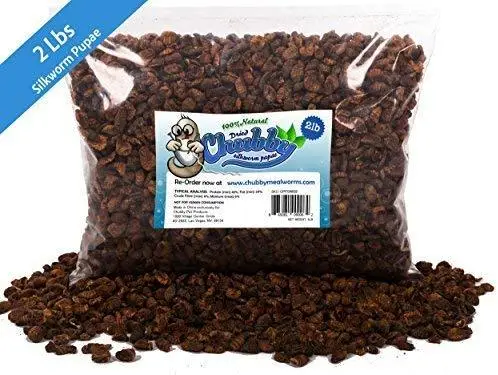 2lb Chubby Dried silkworm pupae para Koi, pescado, reptiles, Terrapin 2lbs