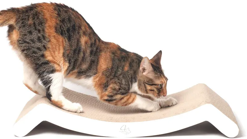 4 garras Scratching Lounge & cama (Color Blanco) – Colección Basics Cat Scratcher