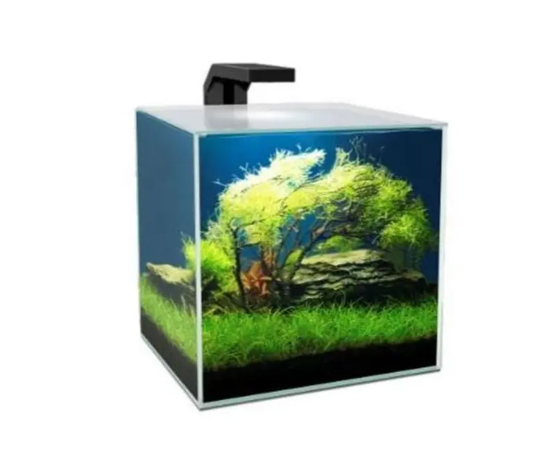 ACUARIO CUBE 10 LTS. C/FILTRO CF20 + LUZ Ciano