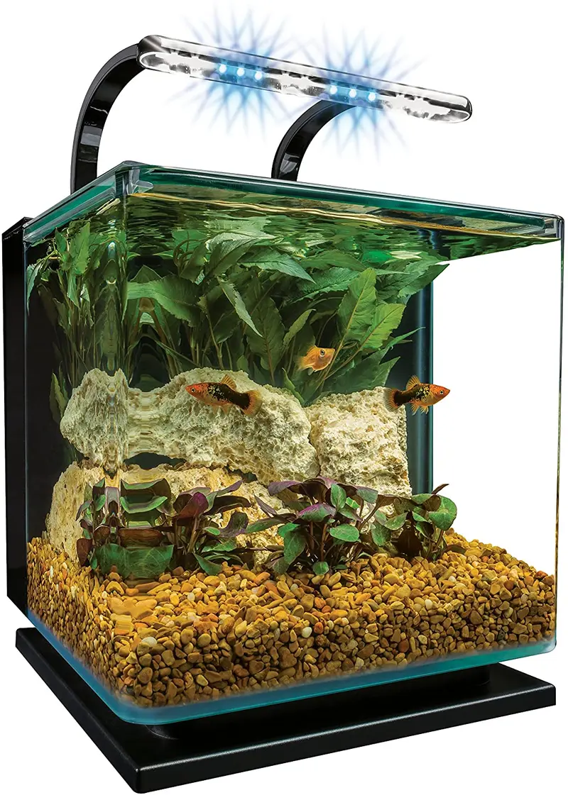 Acuario de vidrio con luces Marineland