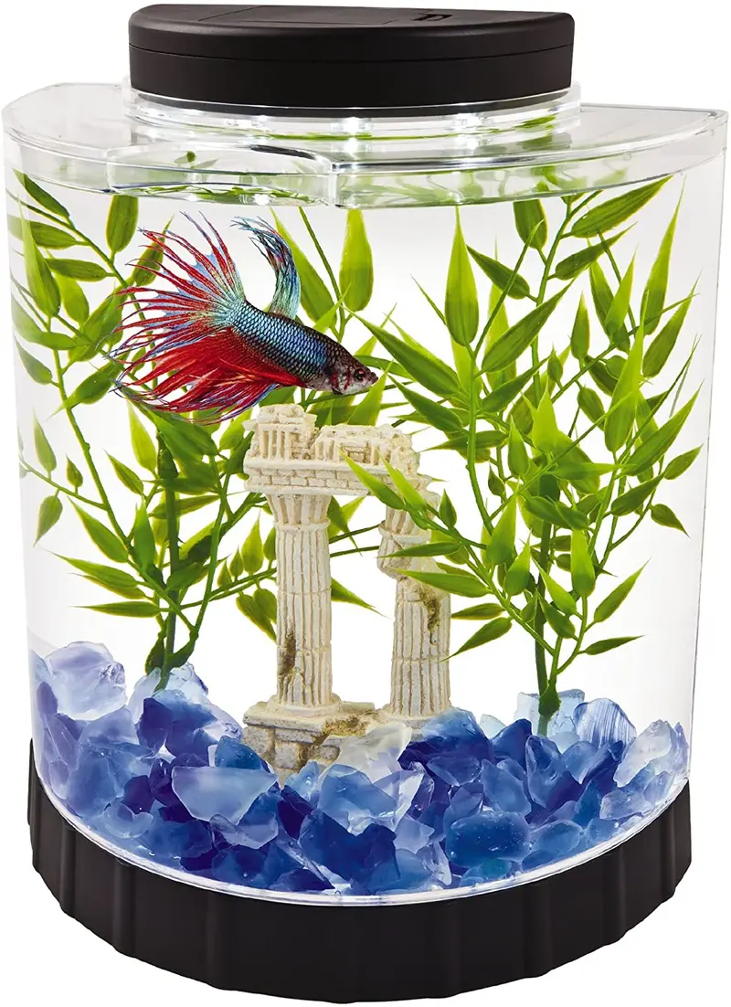 Acuario tetra LED medialuna Betta, 1.1 galones