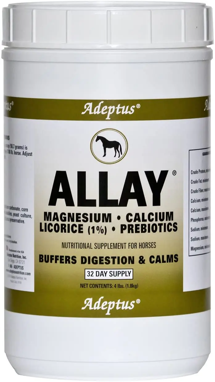 Adeptus Alejar