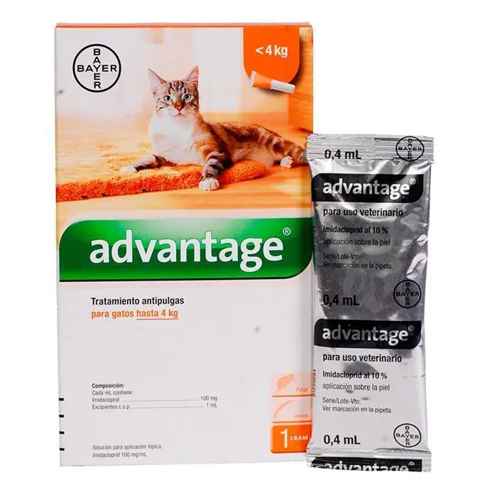 Advantage Gatos