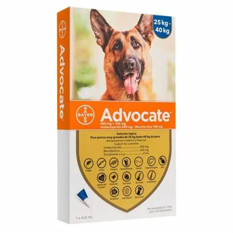 ADVOCATE PERROS