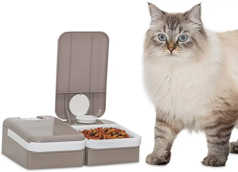 Alimentador automático de mascotas PetSafe , Blanco