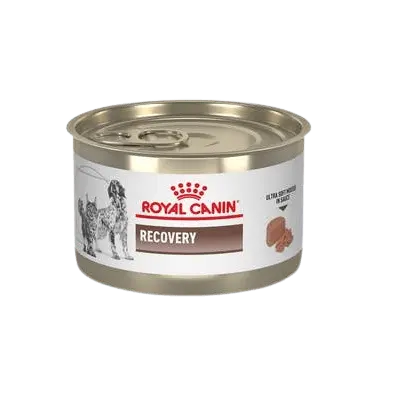 Alimento Húmedo Royal Canin Recovery Para Perro