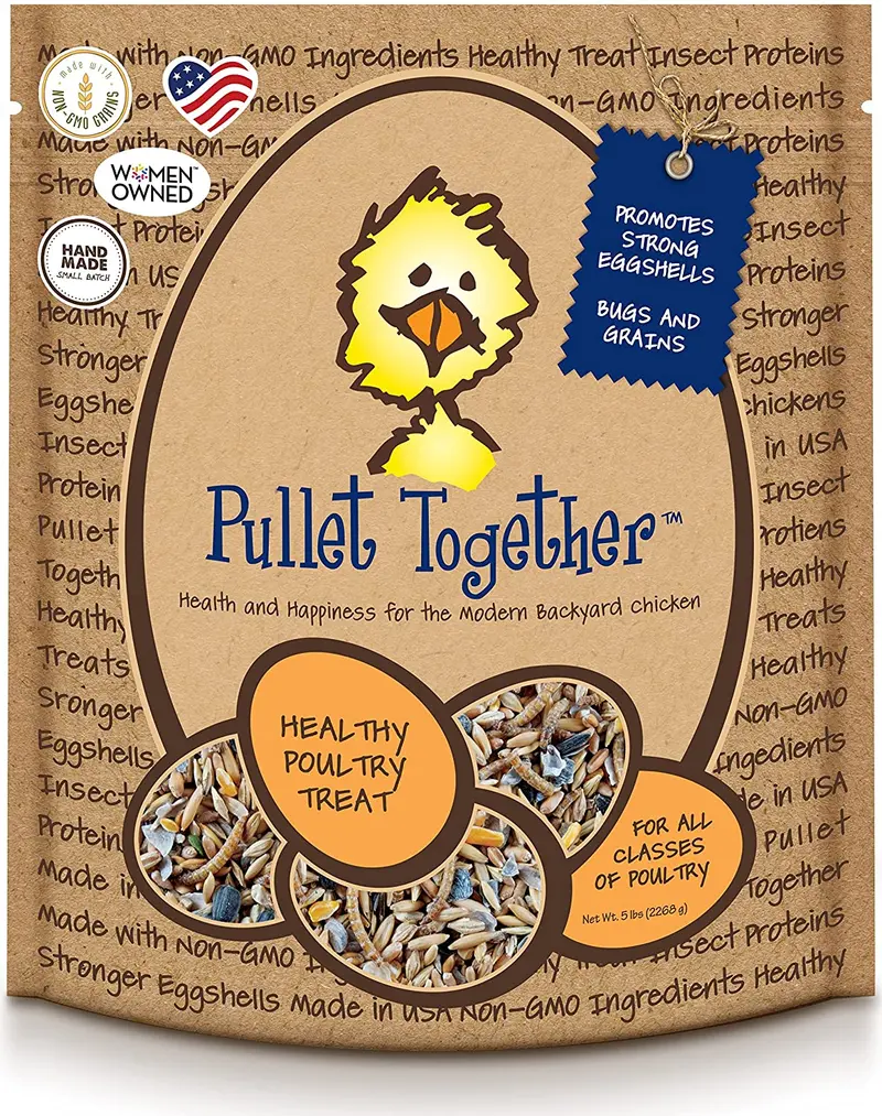 Alimento para pollos non-gmo pullet juntos – Saludable Treat