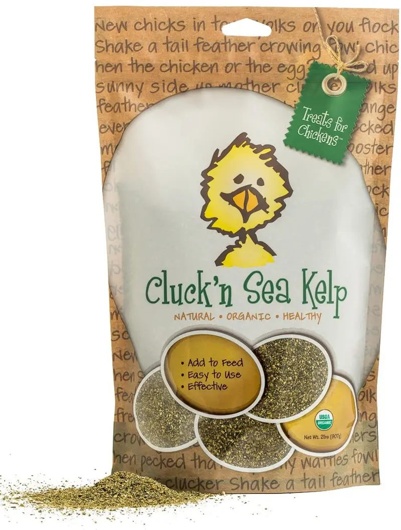 Alimento para pollos orgánico cluck 'n mar kelp – Vitamina Suplemento, Bolsa
