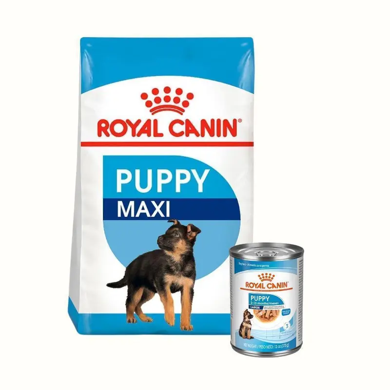 Alimento Seco Royal Canin Maxi Puppy + Lata Pupi Large Especial Pack Para Perro