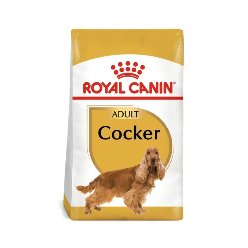 Alimento Seco Royal Canin para Perro Cocker Adulto