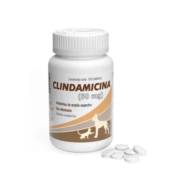Alphachem Clindamicina 50 Mg Frasco 100 Tab