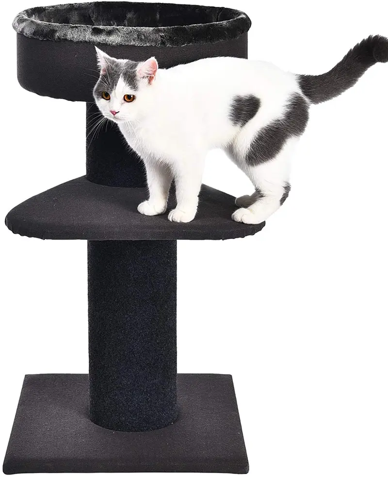 AmazonBasics Cat Post