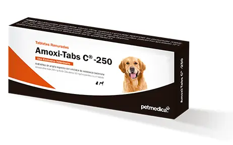 Amoxi Tabs C 250 (10 Tabletas)