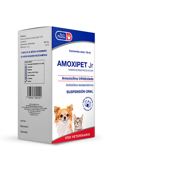 Amoxipet Jr Frasco con gotero graduado de 15 ml