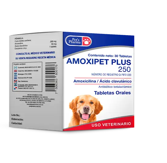 Amoxipet Plus 250 - 30 Tabletas