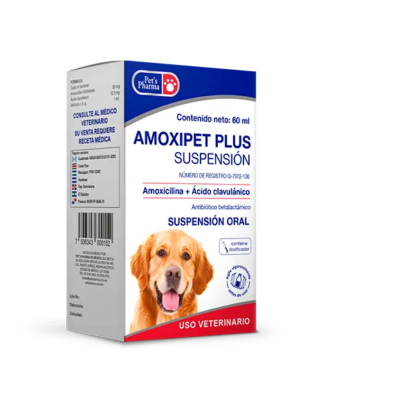 Amoxipet Plus Suspensión Frasco con 60 ml