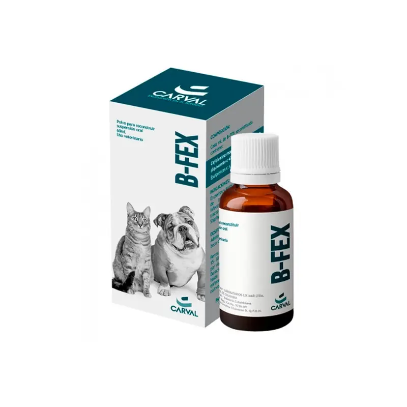 Antibiotico Perros y Gatos B Fex 60 Ml