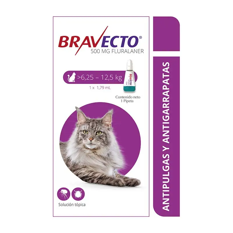Antipulgas Y Garrapatas Gato Bravecto(6.25 Kg - 12.5 Kg)