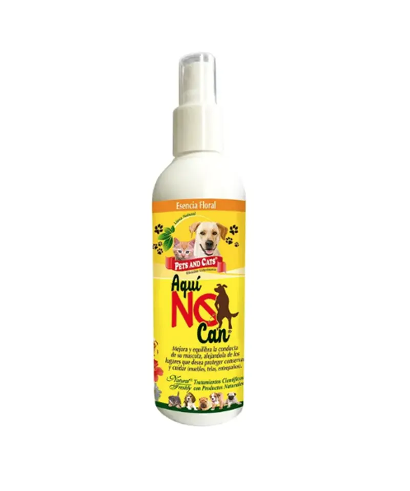 AQUÍ NO CAN * 240 ML
