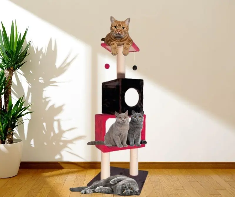 Árbol Rascador para Gatos Red/Black