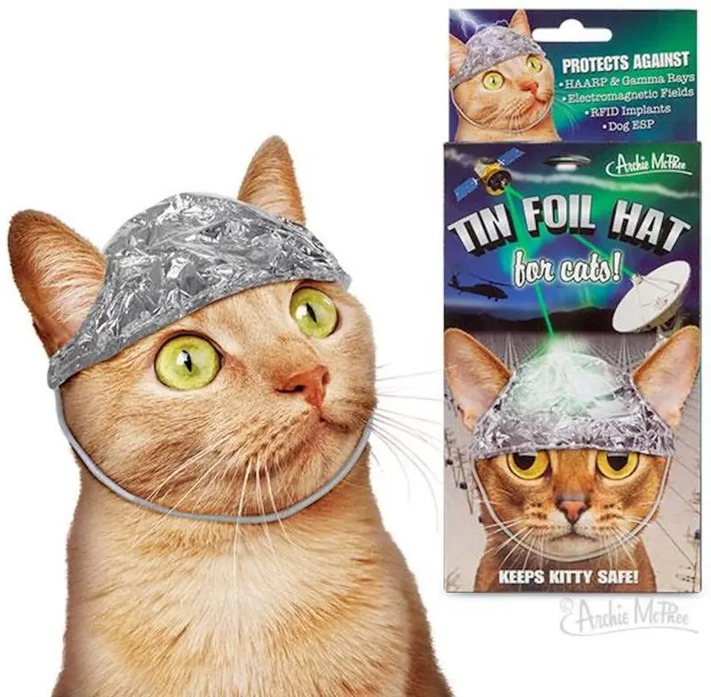 Archie McPhee - Sombreros de hojalata para gatos, diseño con texto "Conspiracy Cats"