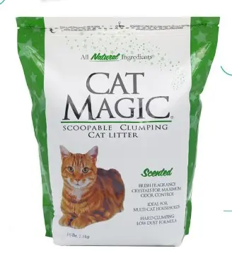 Arena Cat  Magic