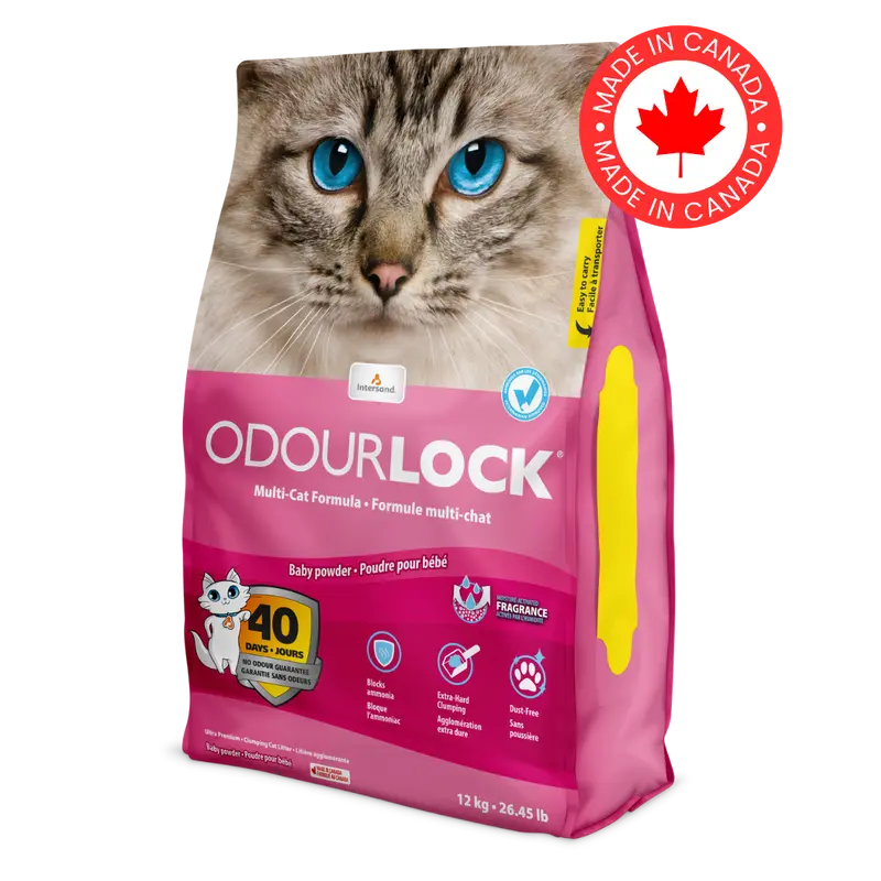 Arena OdourLock Talco de Bebé para Gatos – Control de Olores 40 Días | INTERSAND