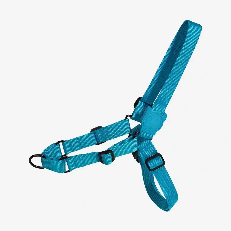 Arnes Ajustable Mediano Walk Ref 262