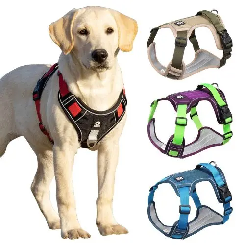 Arnés Antiescape para Perros
