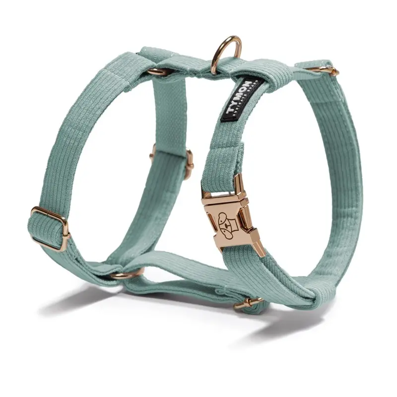Arnés Classic Green