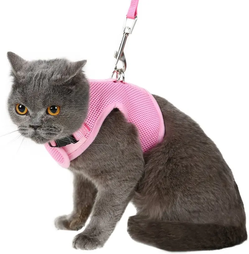 Arnés de gato a prueba de escape con correa ajustable de malla suave, ideal para caminar