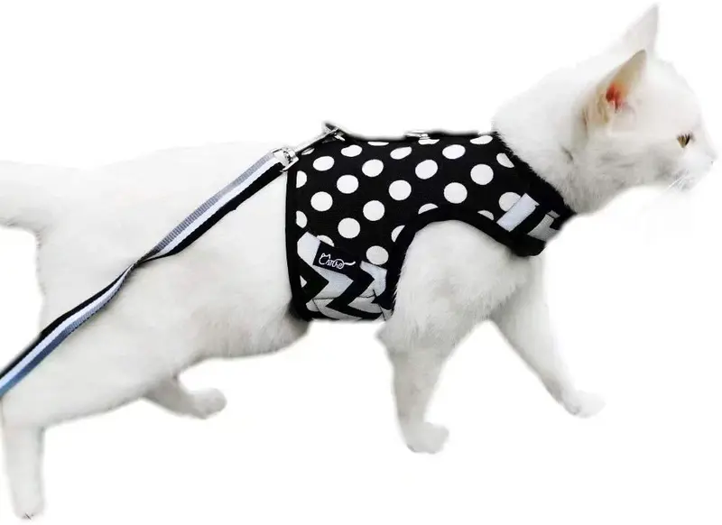 Arnés de gato con correa, ajustable para gatos, chaleco acolchado para gatos