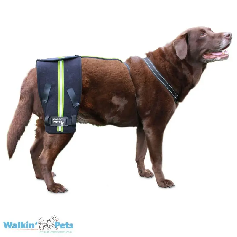 Arnés de Soporte de Cadera para Displacía en Perros de Walkin' Pets