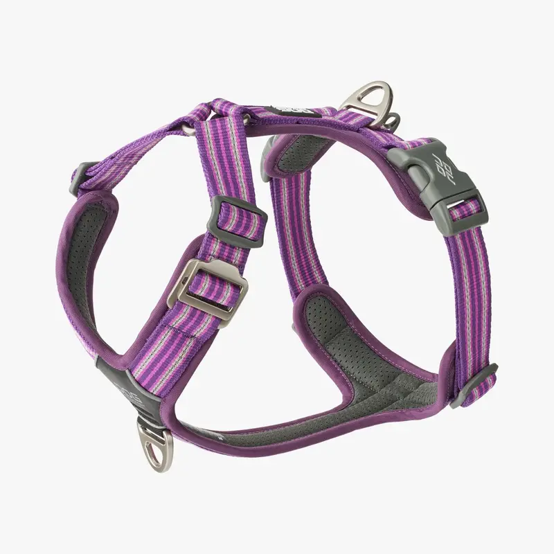 Arnés DOG Copenhagen Comfort Walk Air™ V3 - Lila