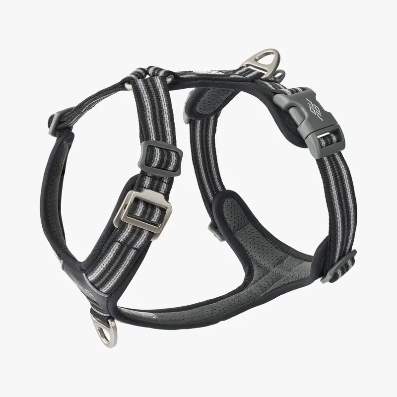 Arnés DOG Copenhagen Comfort Walk Air™ V3 - Negro