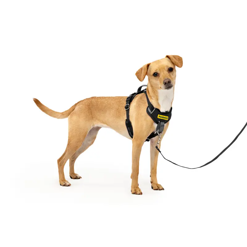 Arnés Easy Walk Comfort Antijalones para Perros - Negro (Black) | PetSafe