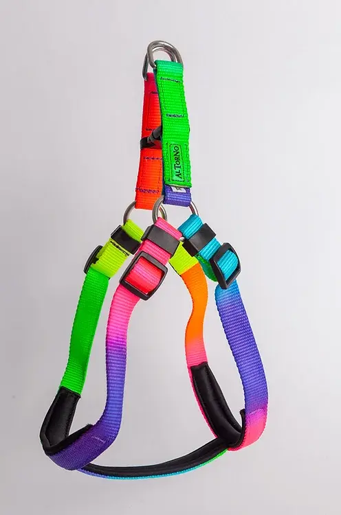 Arnés en H Reata Al Torno L