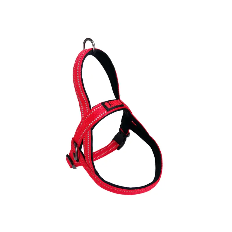 Arnes Kong Norwegian Rojo Para Perro
