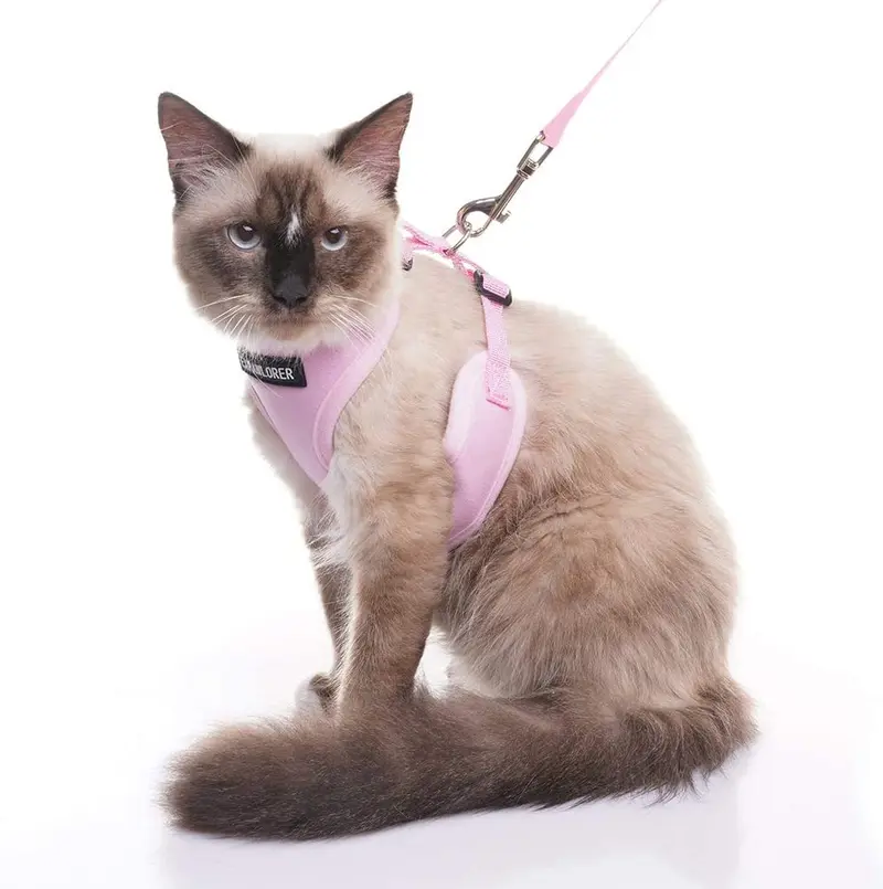 Arnés para gatos a prueba de fugas con correa EXPAWLORER - Arnés de seguridad para gatos y perros pequeños para caminar al aire libre