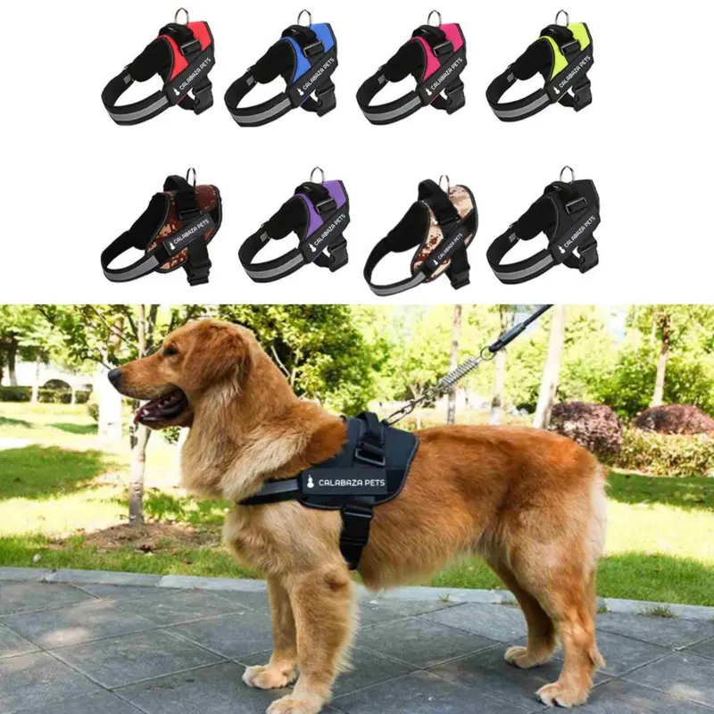 Arnés Para Perro Personalizado L