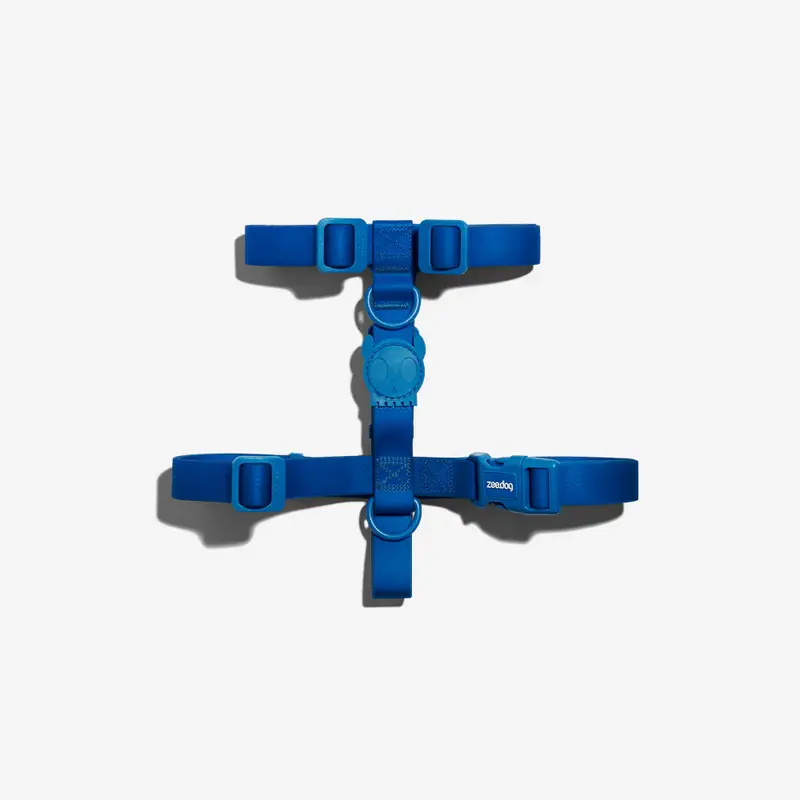 Arnés para Perros Neopro Blue - H Harness Zee.Dog