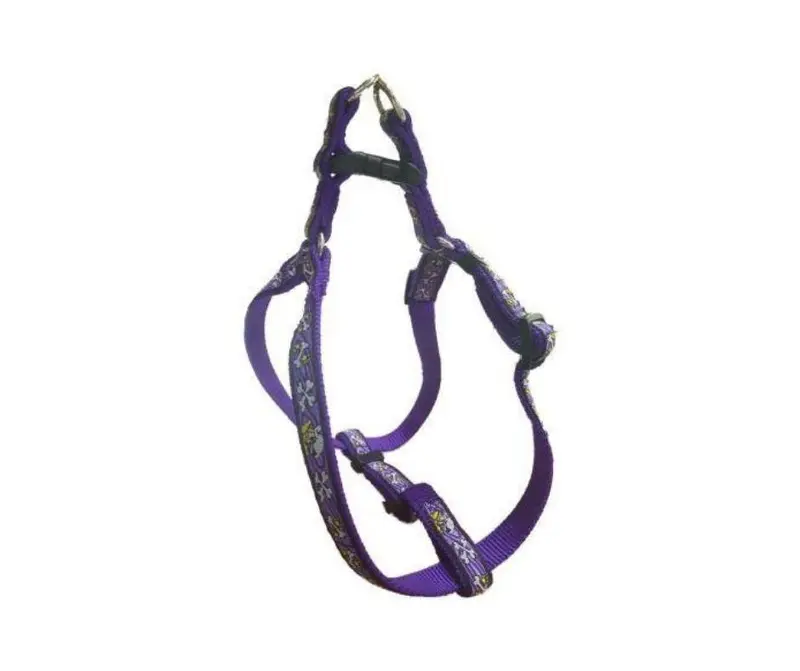Arnés para Perros pequeños Bully Morado