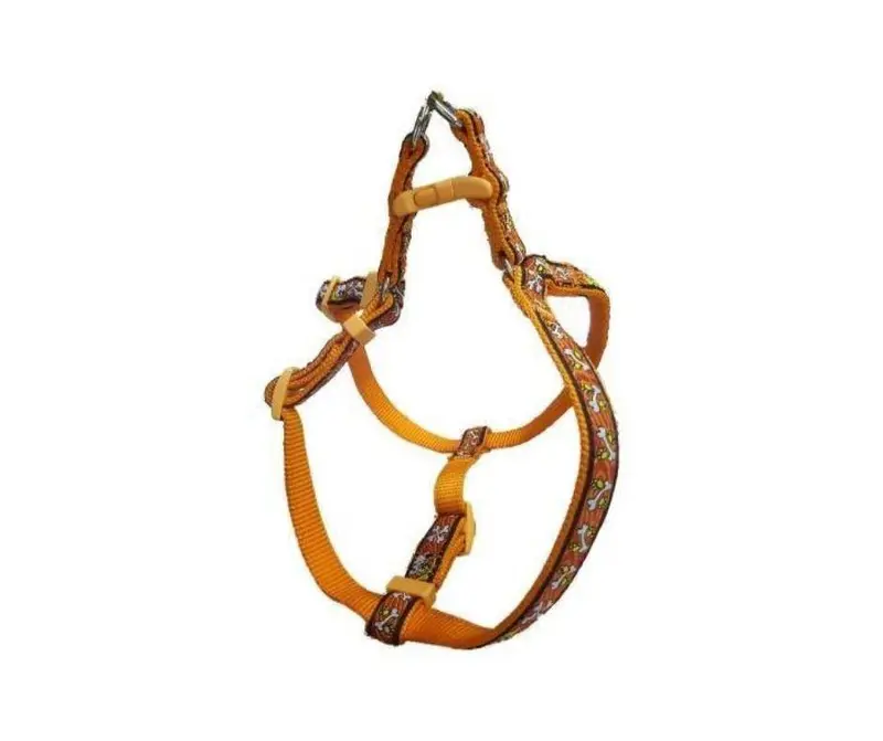 Arnes para Perros pequeños Bully Naranja