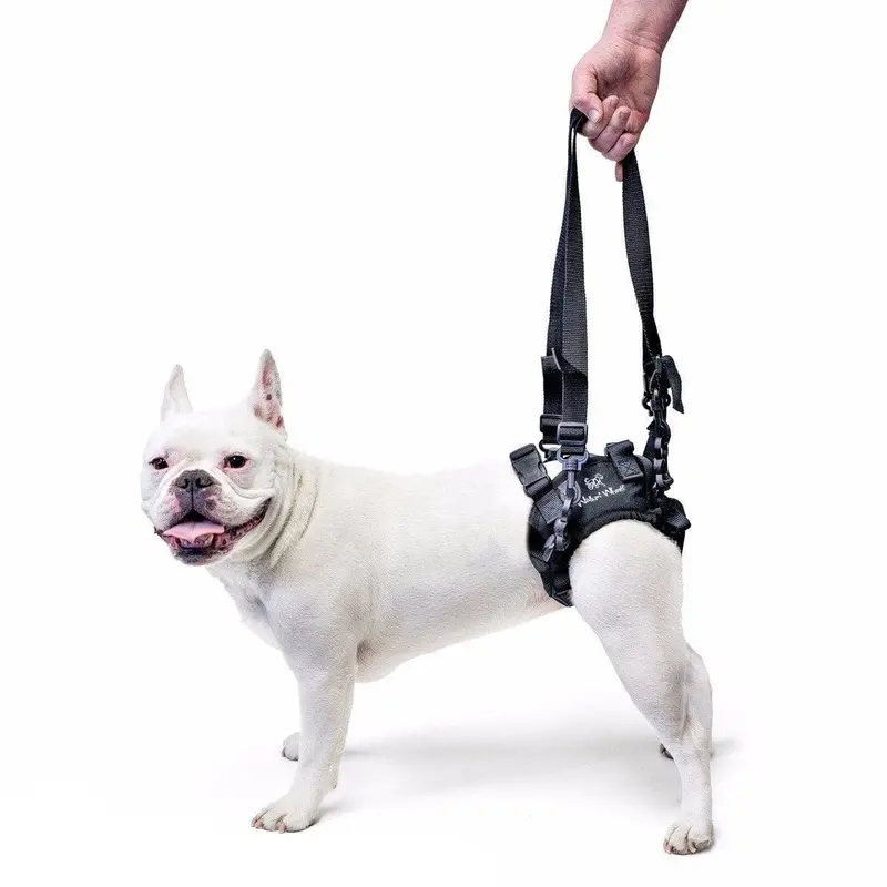 Arnes para Soporte trasero Para Perro Walkin' Lift Rear Harness