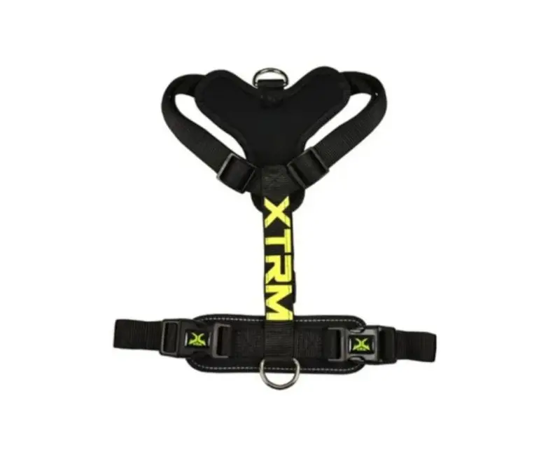 ARNES X-TRM Cronos Neon Flash