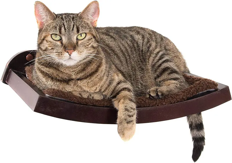 Art of Paws - Cama de perca para gato con diseño de hamaca de gato curvado, elegante mueble de madera montado en la pared, un regalo para tu gato