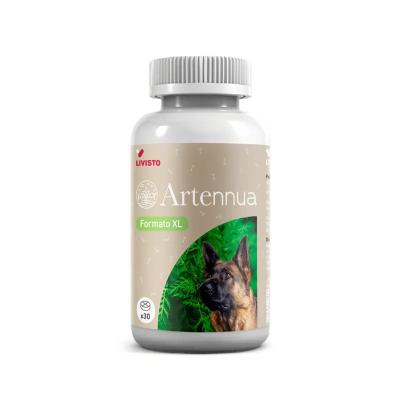 Artennua XL 30 Comprimidos – Artemisia annua para Perros Grandes | Livisto