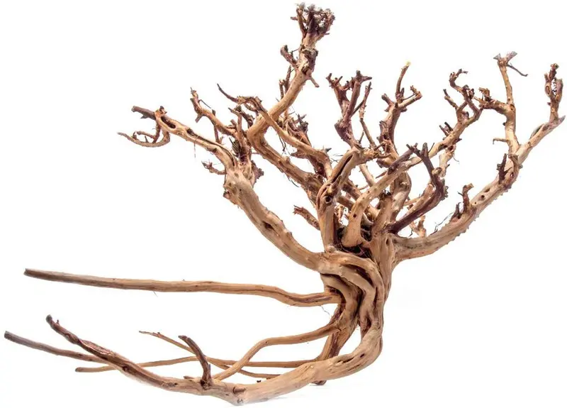 Artes Acuático 1 X-Large pieza de tigre madera Acuario Natural Driftwood, 14 – 18"
